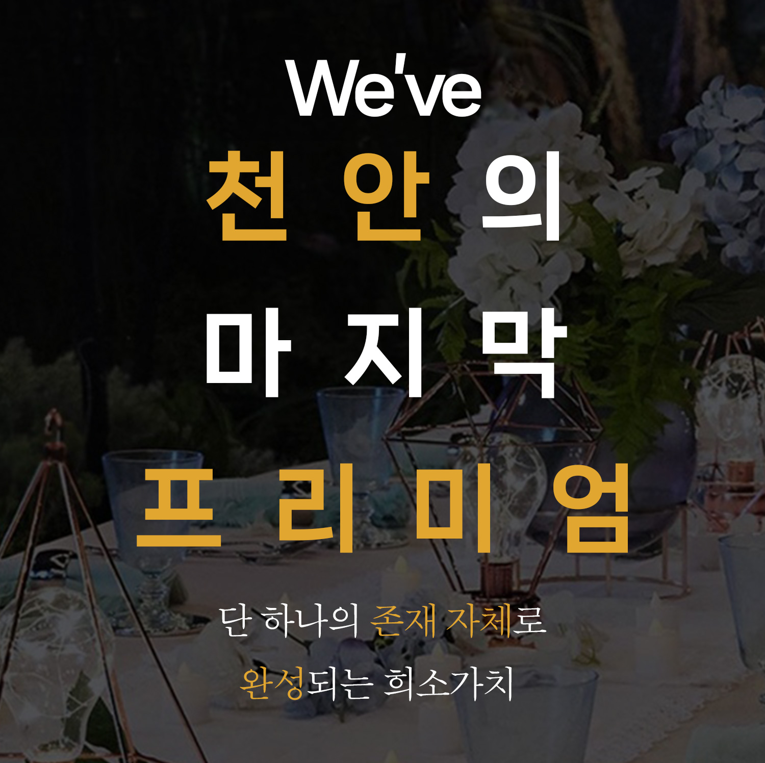 weve-mobile-banner-2